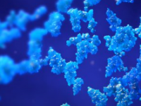 用膨胀显示显微镜观察细胞中的纳米结构