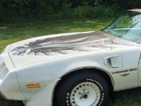 1980年TransAm印第安纳波利斯佩斯汽车在博物馆停放了数十年仅行驶了3500英里