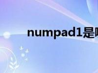 numpad1是哪个键?（numpad1）