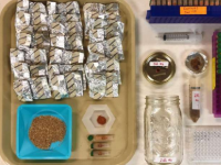 研究探索了气温升高对生态系统影响的一种未被充分认识的方式