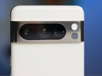 谷歌表示Pixel8Pro的Pawtrait可能有助于收容所的狗更快被收养