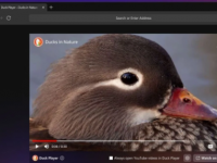 DuckDuckGo注重隐私的Web浏览器现已可用于Windows