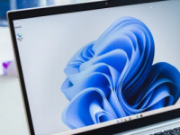 这个新的Windows11更新正在破坏企业Wi-Fi网络