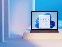 NTDEV发布Windows11100MB准系统版本