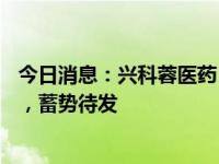 今日消息：兴科蓉医药（6833.HK）：营收同比增长11.8%，蓄势待发