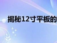 揭秘12寸平板的真实尺寸：究竟有多大？
