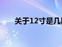 关于12寸是几比几的比例的详细解答
