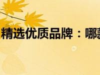 精选优质品牌：哪款1T固态移动硬盘牌子好？