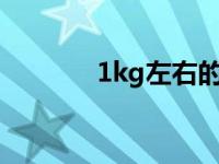 1kg左右的轻薄本评测及推荐