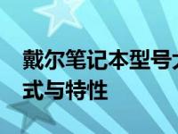 戴尔笔记本型号大全：探索2019年的热门款式与特性