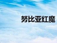 努比亚红魔：游戏手机的新标杆