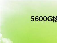 5600G核显驱动安装指南