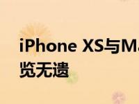 iPhone XS与Max的对比解析：细微差别一览无遗