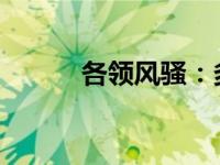 各领风骚：多元魅力的独特展现