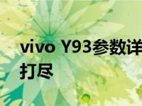 vivo Y93参数详解：性能、设计与功能一网打尽