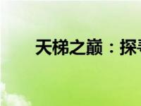 天梯之巅：探寻超越极限的竞技之旅