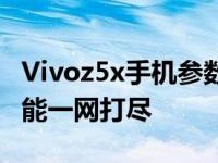 Vivoz5x手机参数配置详解：性能、设计与功能一网打尽