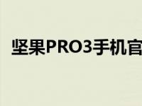 坚果PRO3手机官网：专业品质，极致体验
