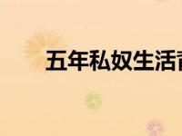 五年私奴生活背后的挣扎与蜕变之路