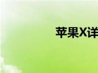 苹果X详细参数配置解析
