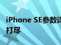 iPhone SE参数详解：性能、设计与功能一网打尽