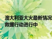 澳大利亚大火最新情况报告：持续燃烧引发全球关注，紧急救援行动进行中