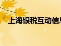 上海银税互动信息服务平台官网登录指南