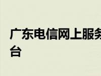 广东电信网上服务厅：便捷高效的在线服务平台
