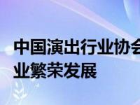 中国演出行业协会的角色与影响：推动演出产业繁荣发展