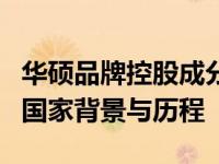 华硕品牌控股成分探究：深度了解这家公司的国家背景与历程