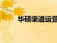华硕渠道运营的工作环境深度解析
