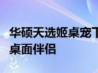 华硕天选姬桌宠下载指南：轻松获取你的专属桌面伴侣